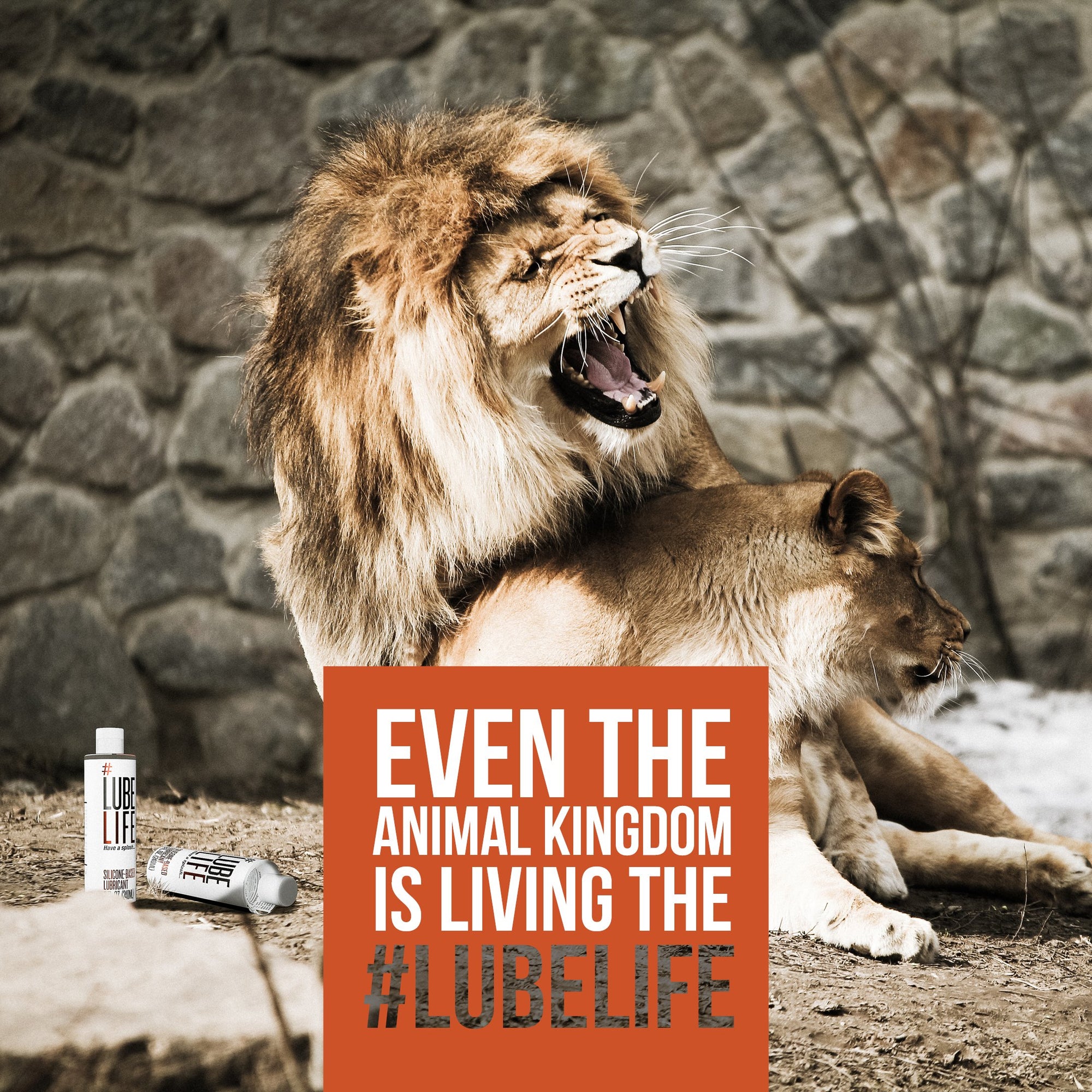 How to Choose the PERFECT Lube for YOU [Buying Guide]!